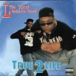 L The Black Robinhood - True 2 Life