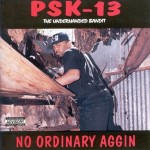 PSK-13 - No Ordinary Aggin