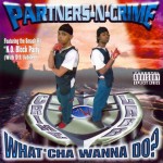 Partners-N-Crime - What'cha Wanna Do