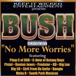 Bush - No More Worries