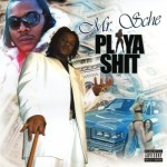 Mr. Sche - Playa Shit