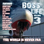 Boss' Life 3