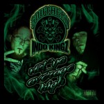 Southern Indo Kingz - Not Ya Average High