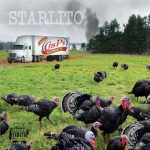 Starlito - Fried Turkey
